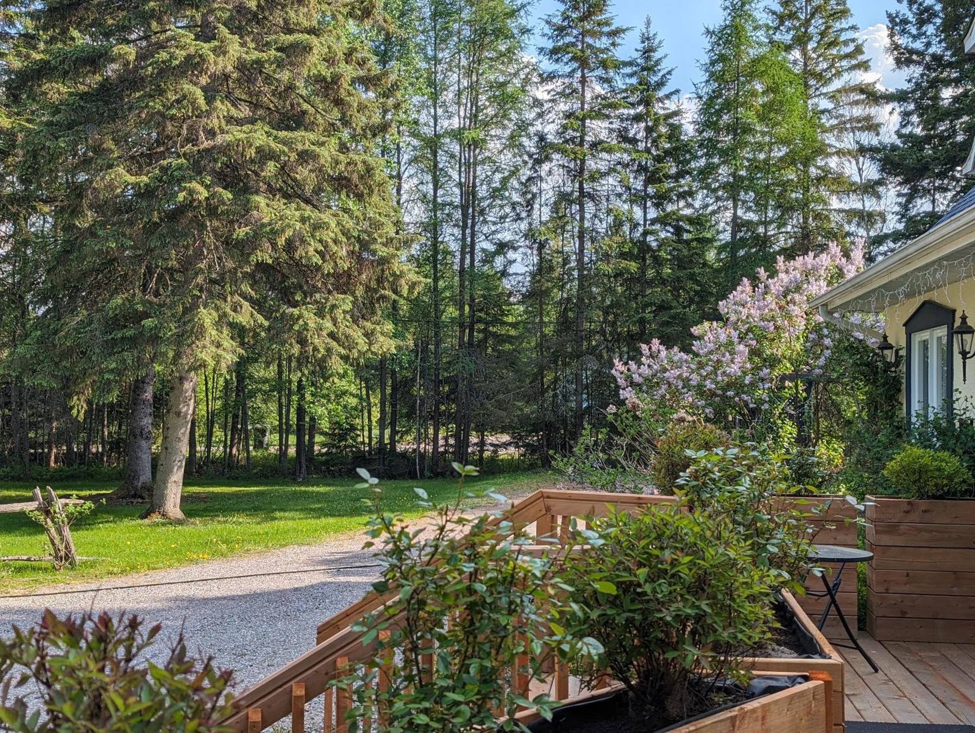 La Tremblante Bed & Breakfast Mont-Tremblant Dış mekan fotoğraf