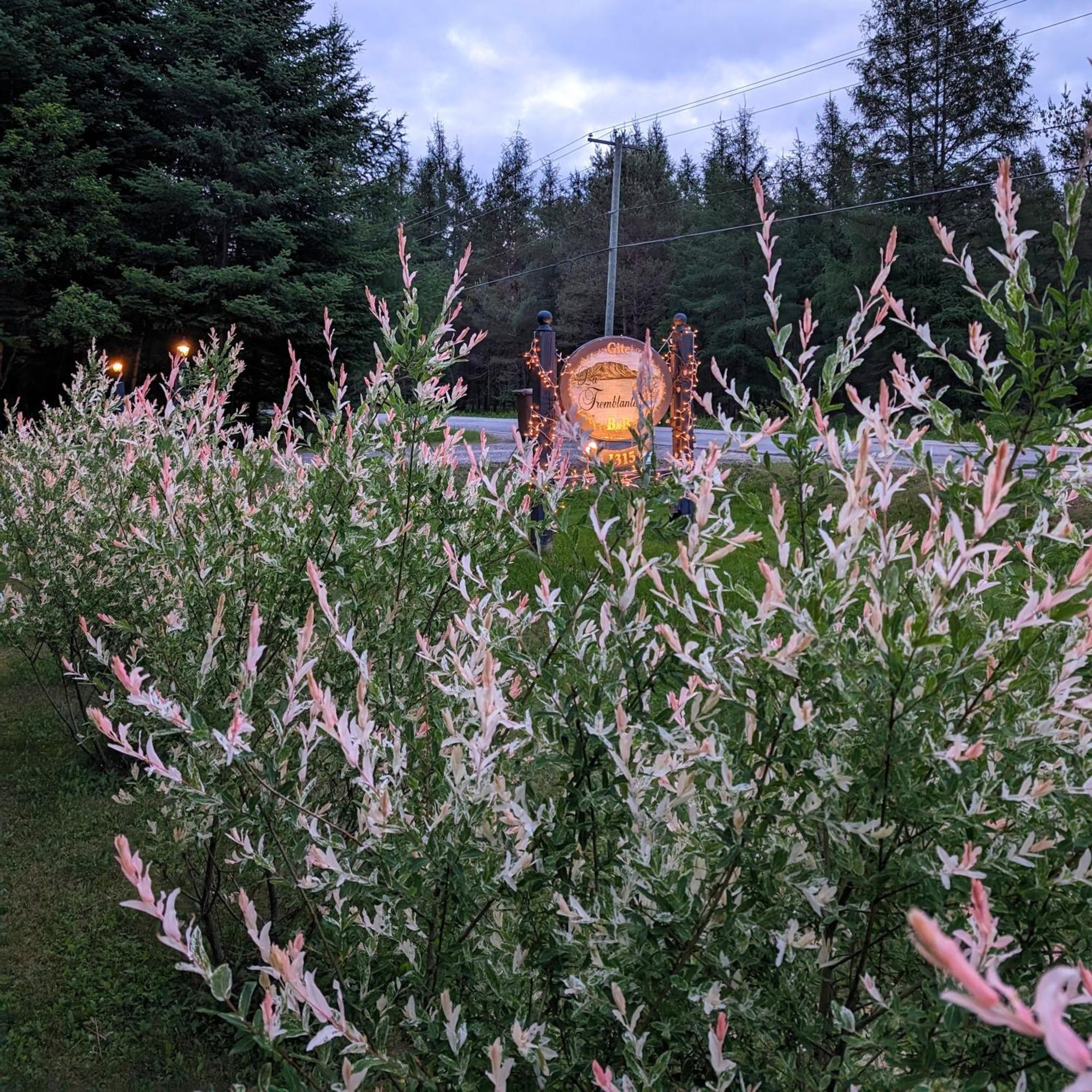 La Tremblante Bed & Breakfast Mont-Tremblant Dış mekan fotoğraf