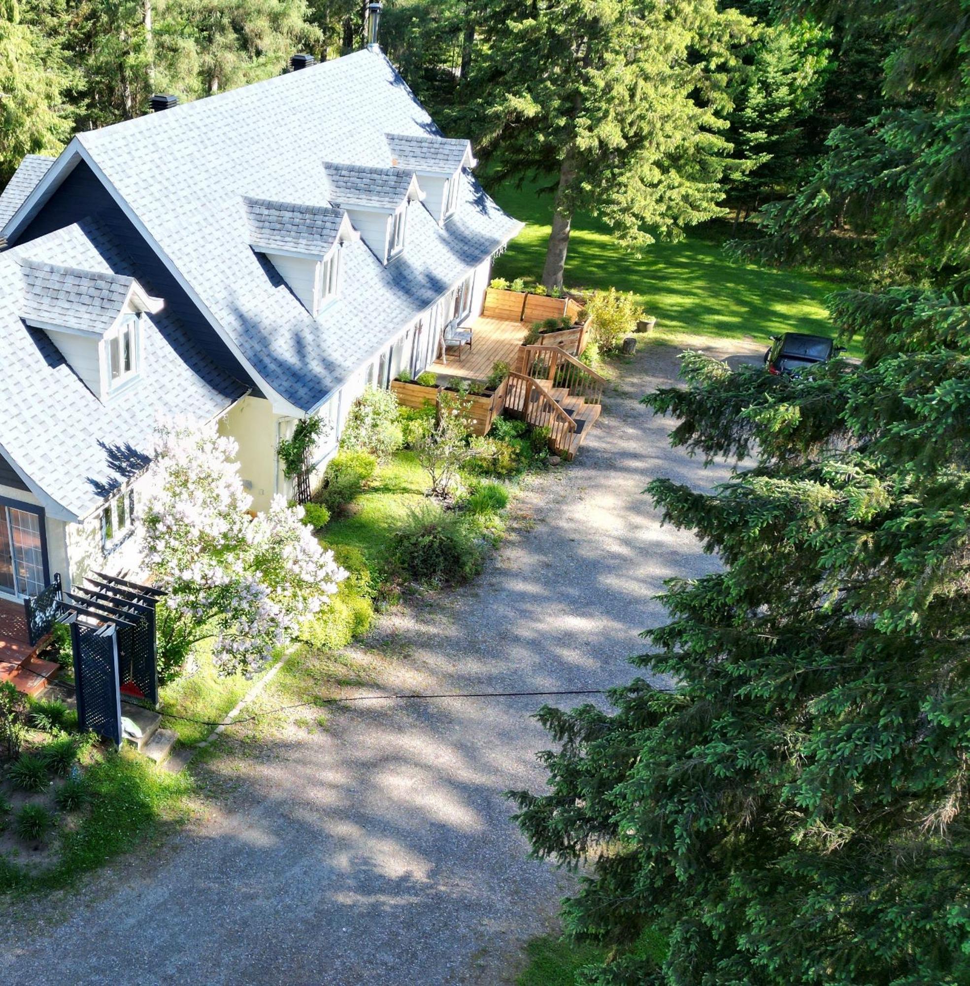 La Tremblante Bed & Breakfast Mont-Tremblant Dış mekan fotoğraf