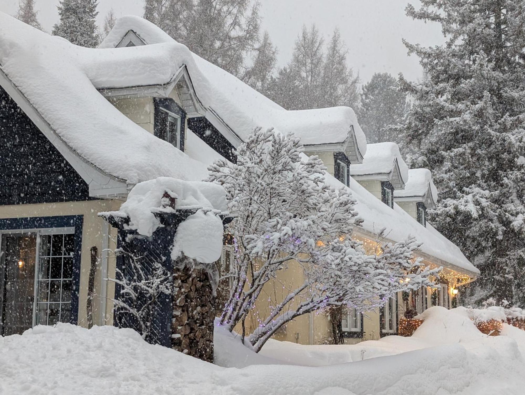 La Tremblante Bed & Breakfast Mont-Tremblant Dış mekan fotoğraf