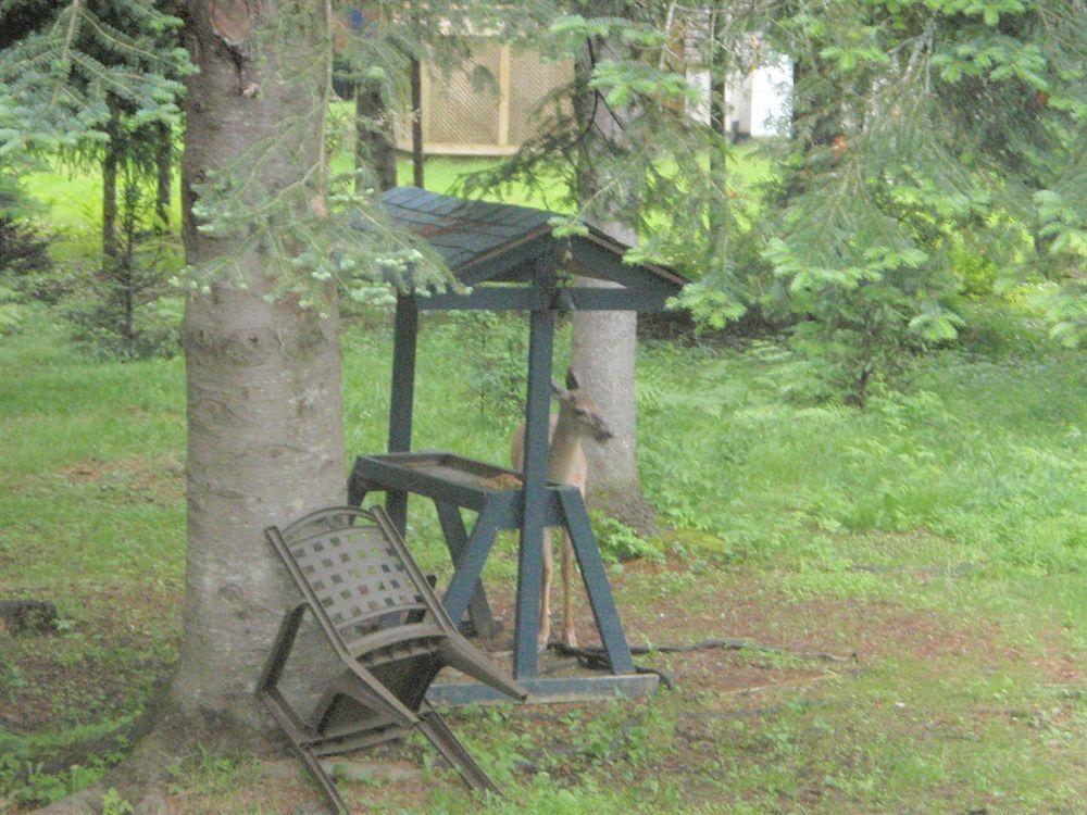 La Tremblante Bed & Breakfast Mont-Tremblant Dış mekan fotoğraf